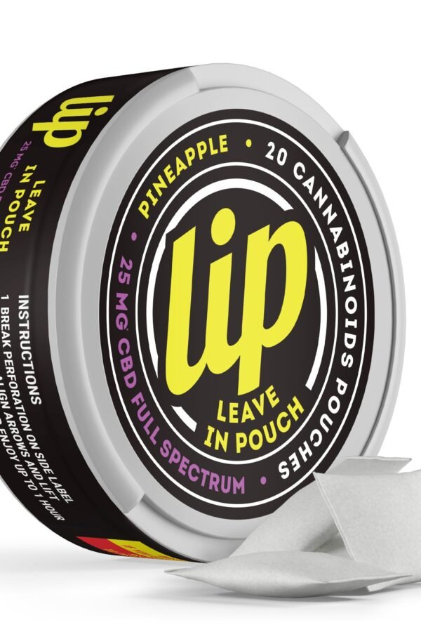 25mg Full Spectrum CBD Dip Pouches - Pineapple - Lip (500mg)