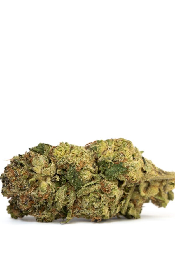 Walrus Kush Flower - THCA - Hybrid