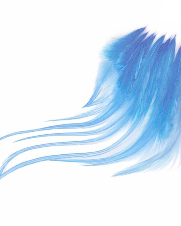 1 Dozen - Short Solid Light Blue Whiting Farm Rooster Saddle Hair Extension Feathers Summer Fly Tying Craft Supply 786