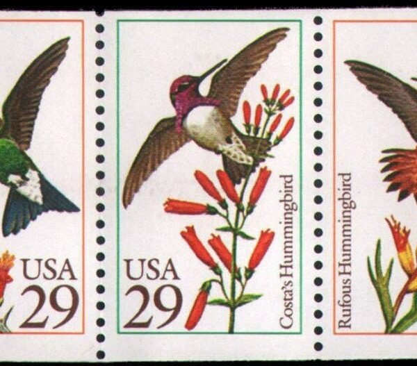 10x Hummingbirds Costa's Rufous Calliope Ruby Throated 5 Diff 1992 29C Postage Stamps Free Shipping #1 Source Best Prices On Vintage Stamps