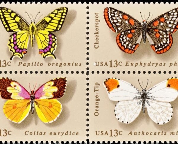 12x Butterflies Lepidoptera Arthropoda Rhopalocera 4 Different 1977 13C Unused Postage Stamps Free Shipping Best Prices On Vintage Stamps