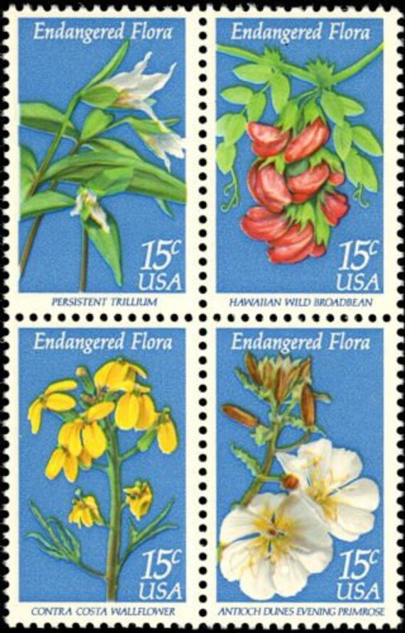 12x Flowers Endangered Flora Botanical 4 Diff 1979 15C Blue Unused Postage Stamps Free Shipping #1 Source. Best Prices On Vintage Stamps