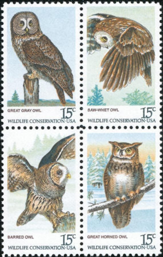 12x Owls Strigiformes Birds Raptors 4 Different Unused 1978 15C Postage Stamps Free Shipping #1 Source Best Prices On Vintage Stamps