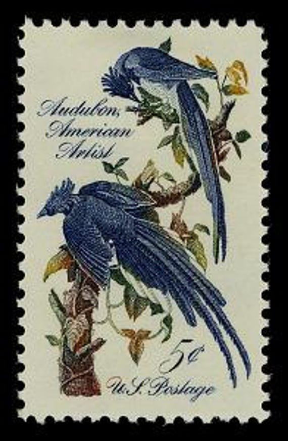 15x Audubon Birds Magpie Blue Jays Paintings 1963 5C Unused Postage Stamp Free Shipping #1 Source Best Prices On Vintage Stamps