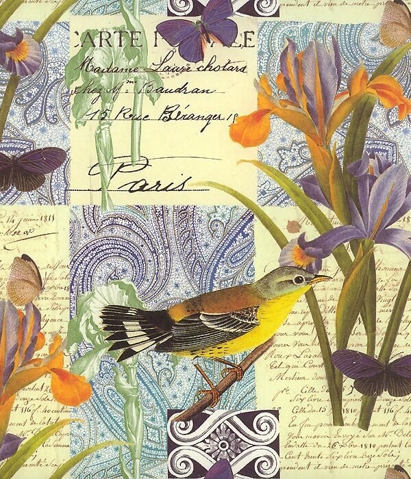 2 Sheets Yellow & Purple Bird Iris Collage Print Italian Paper ~ Rossi Italy Ipr229 X2