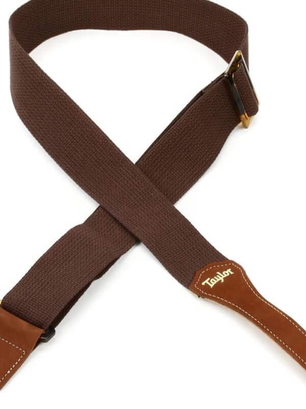 2019 Taylor K0503001100302 Chocolate Brown