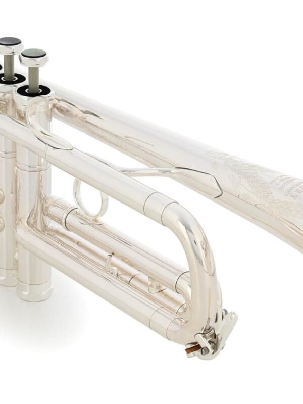 2022 Victory Musical Instruments G2-RTPSP-S