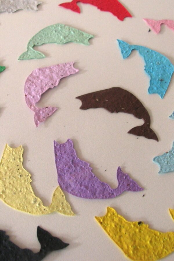 24 Seed Paper Fish