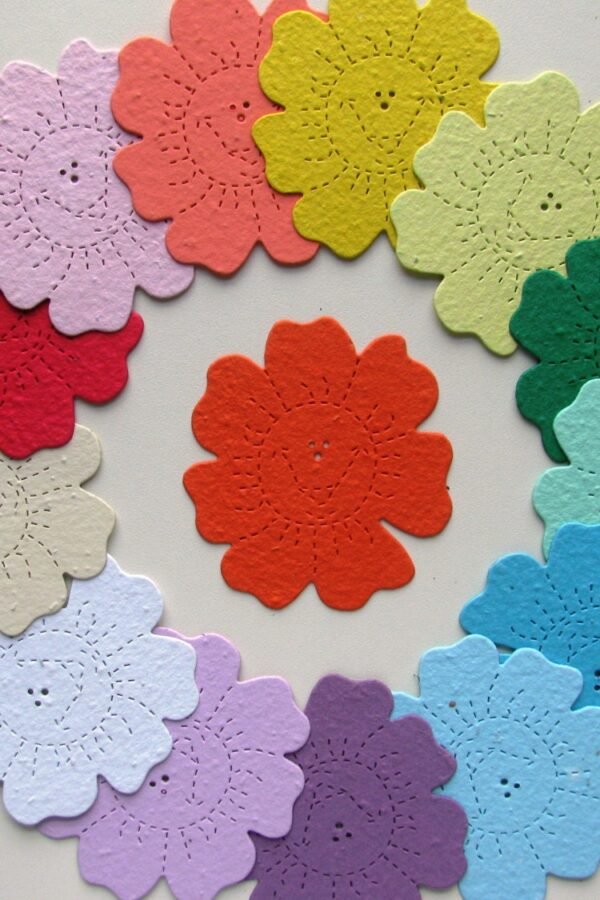 24 Seed Paper Happy Flower Faces