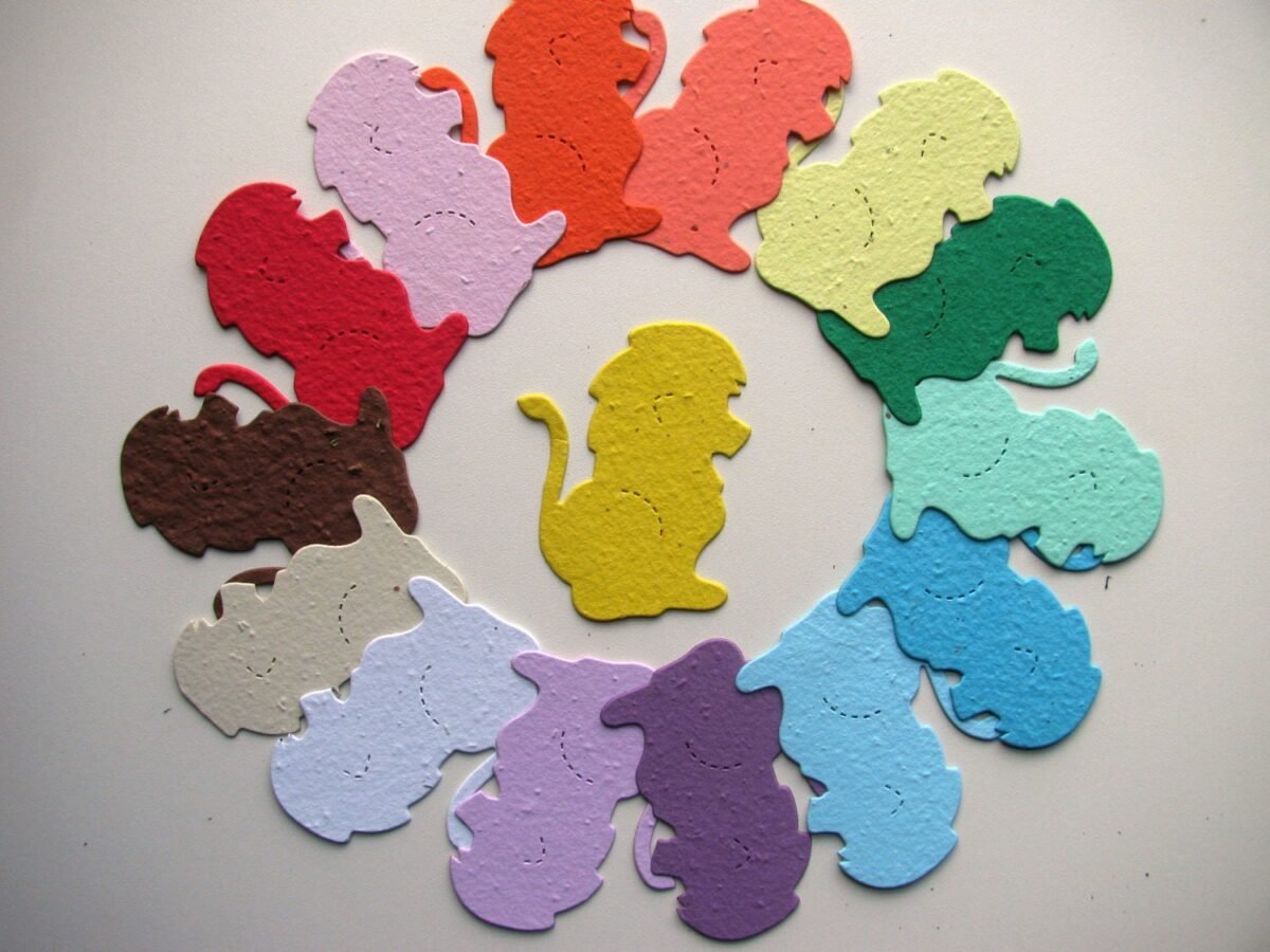 24 Seed Paper Lions