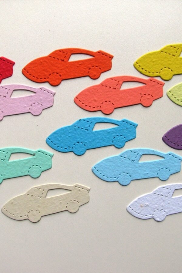 24 Seed Paper Race Cars