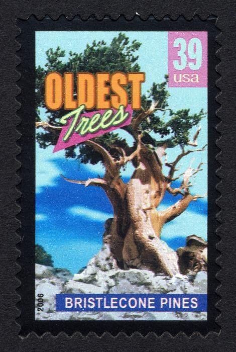 4x Oldest Trees Bristlecone Pine Tree Nevada 39C Unused Postage Stamp. Free Shipping #1 Source Best Prices On Vintage Stamps