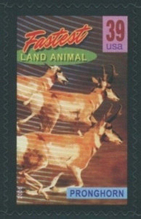 4x Pronghorn Antelope Fastest Animal 39C Unused Vintage Postage Stamp. Free Shipping #1 Source. Best Prices On Stamps