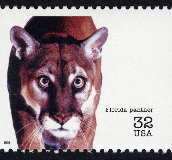 6x Florida Panther Big Cats Endangered Species 1996 32C Unused Postage Stamp Free Shipping #1 Source Best Prices On Vintage Stamps