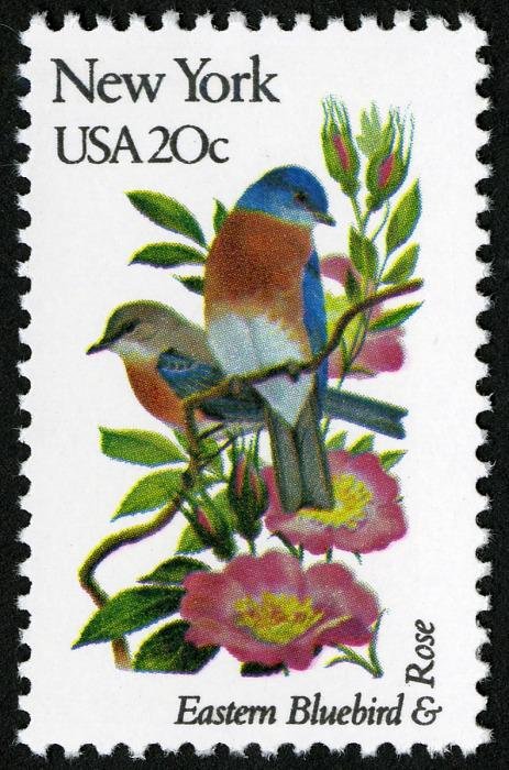 6x New York State Bird & Flower Bluebird Rose 1982 20C Unused Postage Stamp. Free Shipping #1 Source Best Prices On Vintage Stamps
