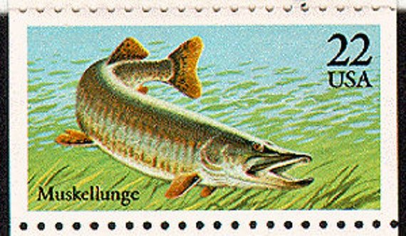7x Muskellunge Fish Pike Fishing Great Lakes Michigan 1986 22C Unused Postage Stamp Free Shipping #1 Source Best Prices On Vintage Stamps