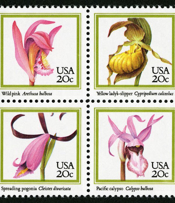 8x Orchids Flowers 4 Diff 1984 20C Pink Unused Postage Stamps Great For Wedding Invitations Free Shipping Best Prices On Vintage Stamps