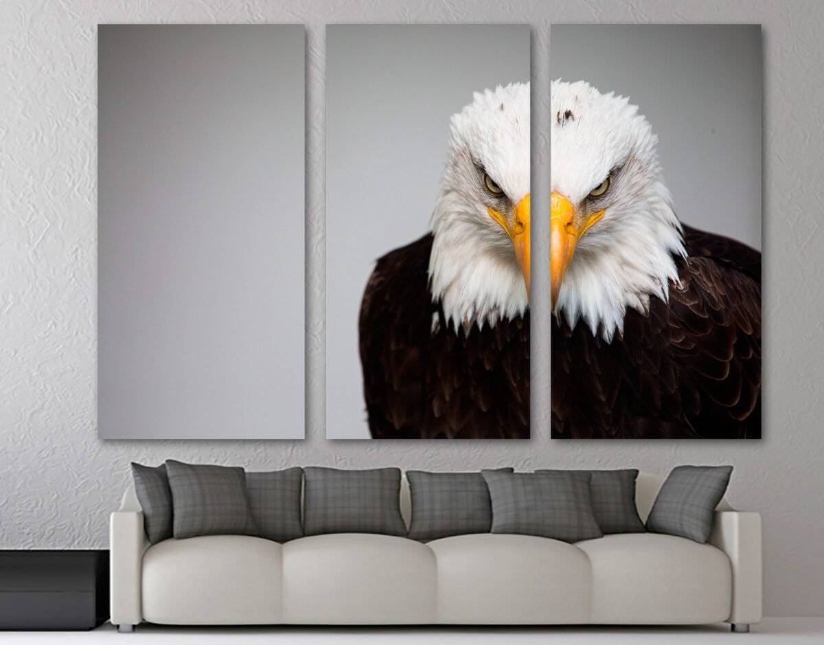 American Bald Eagle Portrait Canvas Print Wall Art Animal - Symbol Bird Giclee Home Art Decor, Wall Interior Design