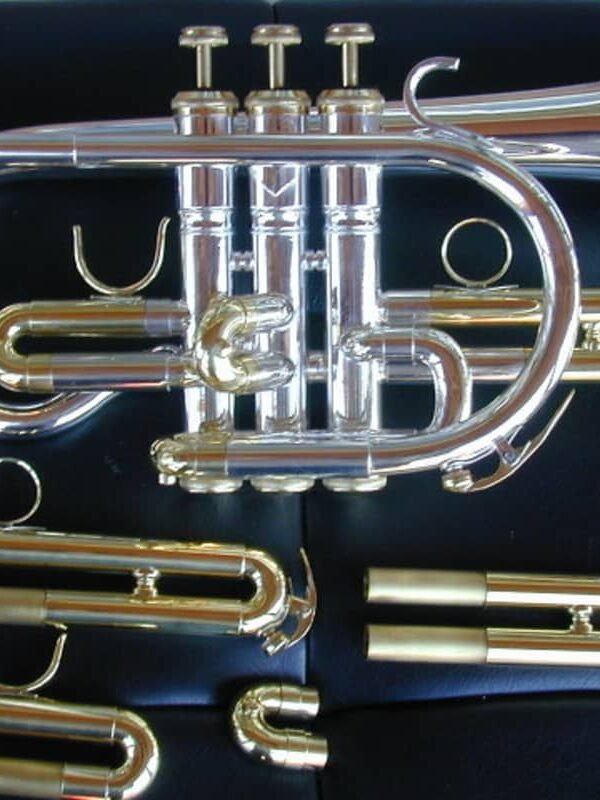 BerkeleyWind c cornet