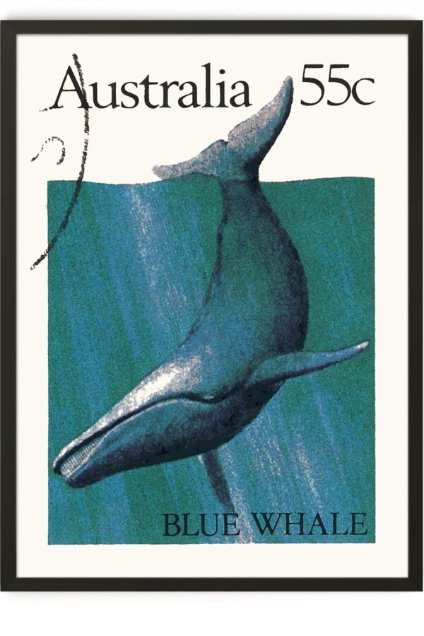 Blue Whale Tropical Wall Art Print & Coastal Decor For Beach House, Australia Poster Print Of Wall Art Ocean Theme