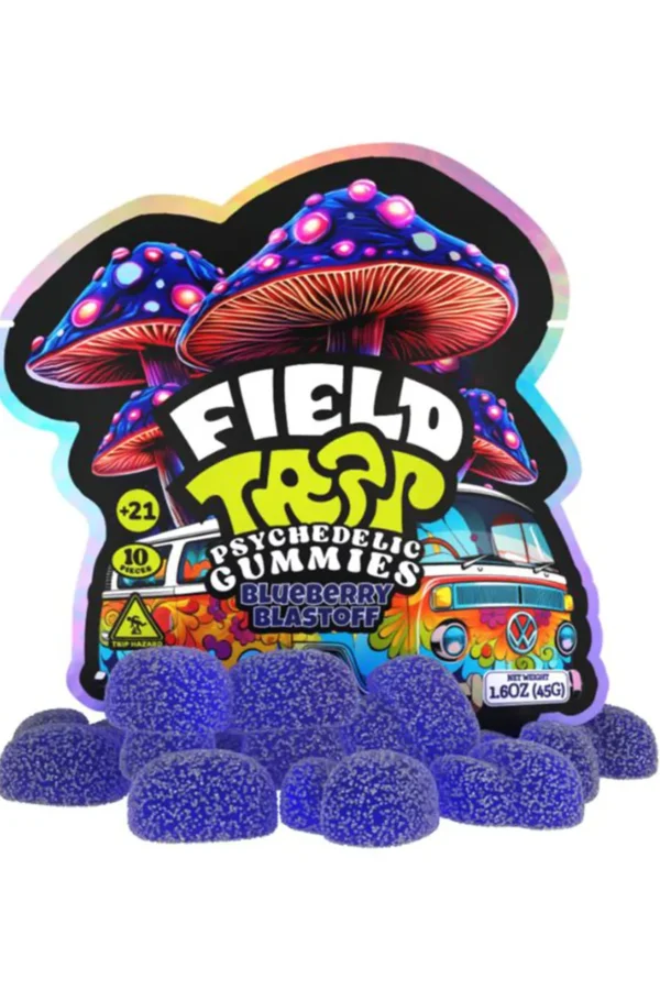 Blueberry Blastoff Field Trip Psychedelic Mushroom Gummies