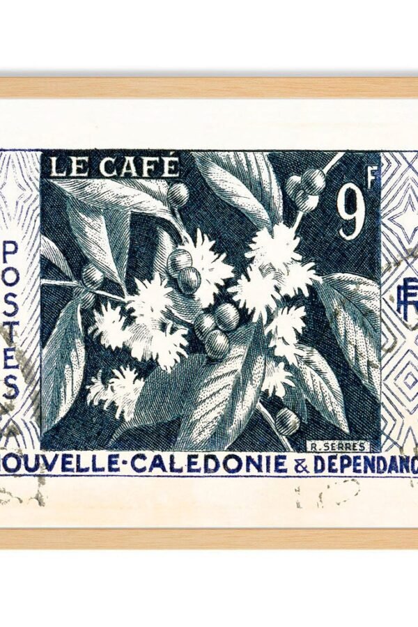 Botanical Wall Art Print, Coffee Art Poster Cafe Art, Shop Decor, New Caledonia, Tropical Boho Decor