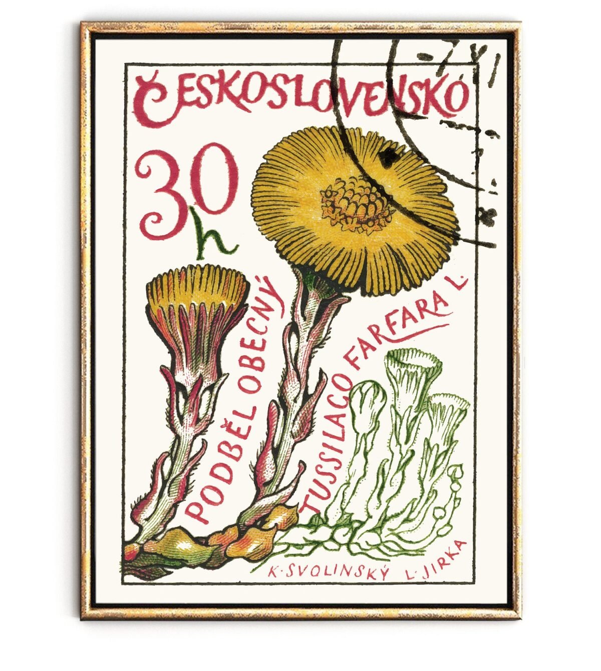 Botanical Wall Art Print & Flower Art, Floral Print Of Nouveau Poster, Czech Art, Whimsical Illustration Europe