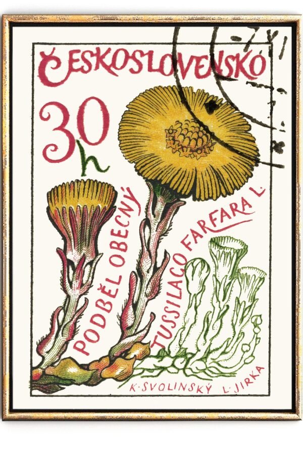 Botanical Wall Art Print & Flower Art, Floral Print Of Nouveau Poster, Czech Art, Whimsical Illustration Europe