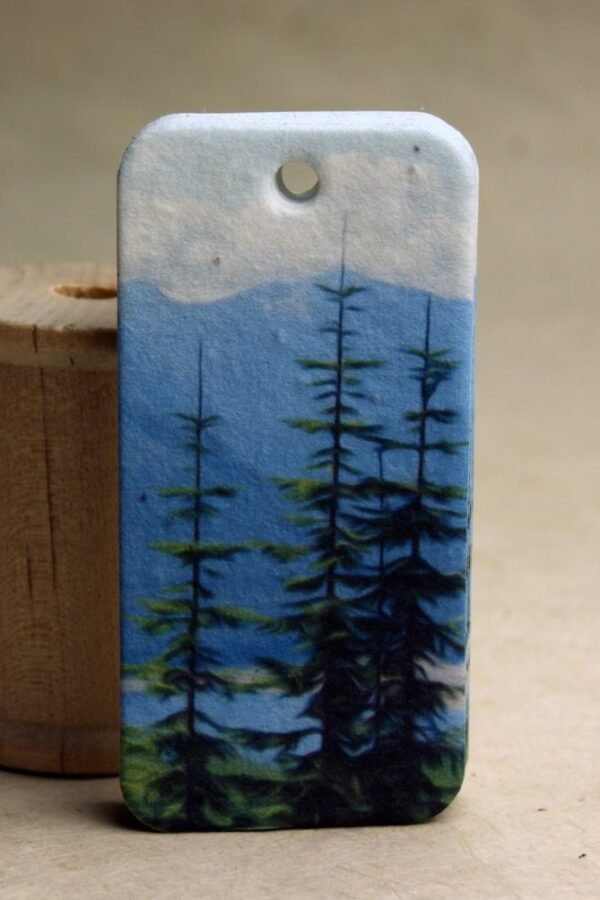 Cascade Mountain Trail Gift Tag Set Of 10 Seed Paper Hangtags 3" Long By 1.5" Wide