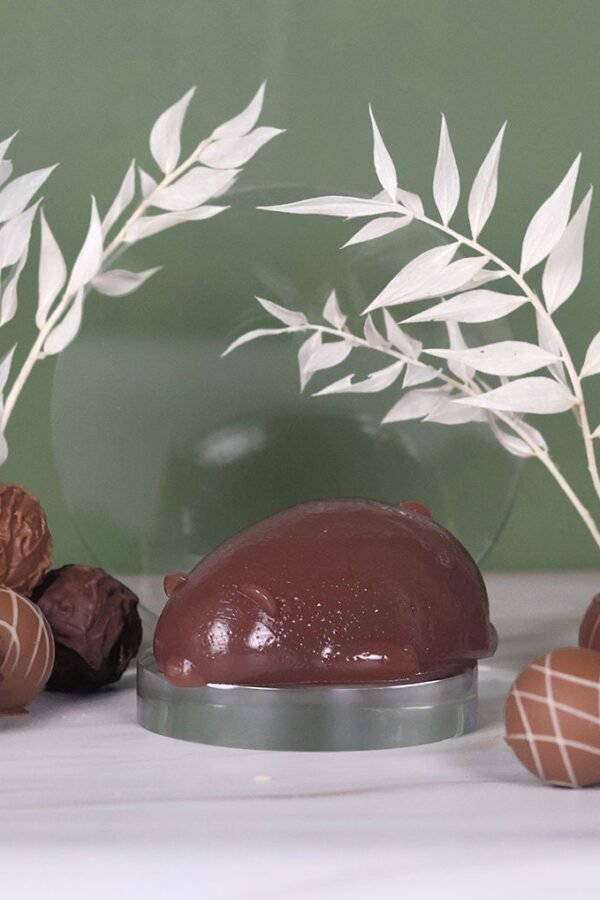Chocolate Bear Jelly Soap Cute Vegan Handmade Self-Care Gift