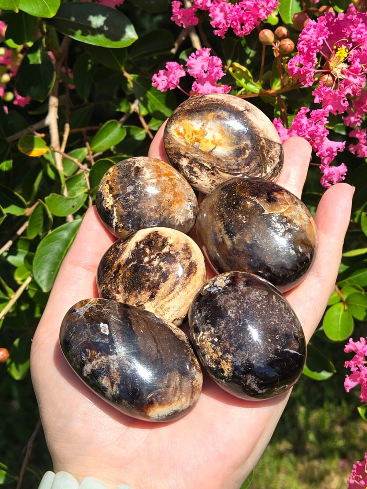 Chocolate Calcite Palmstones