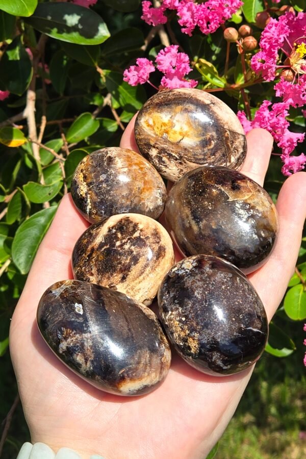 Chocolate Calcite Palmstones