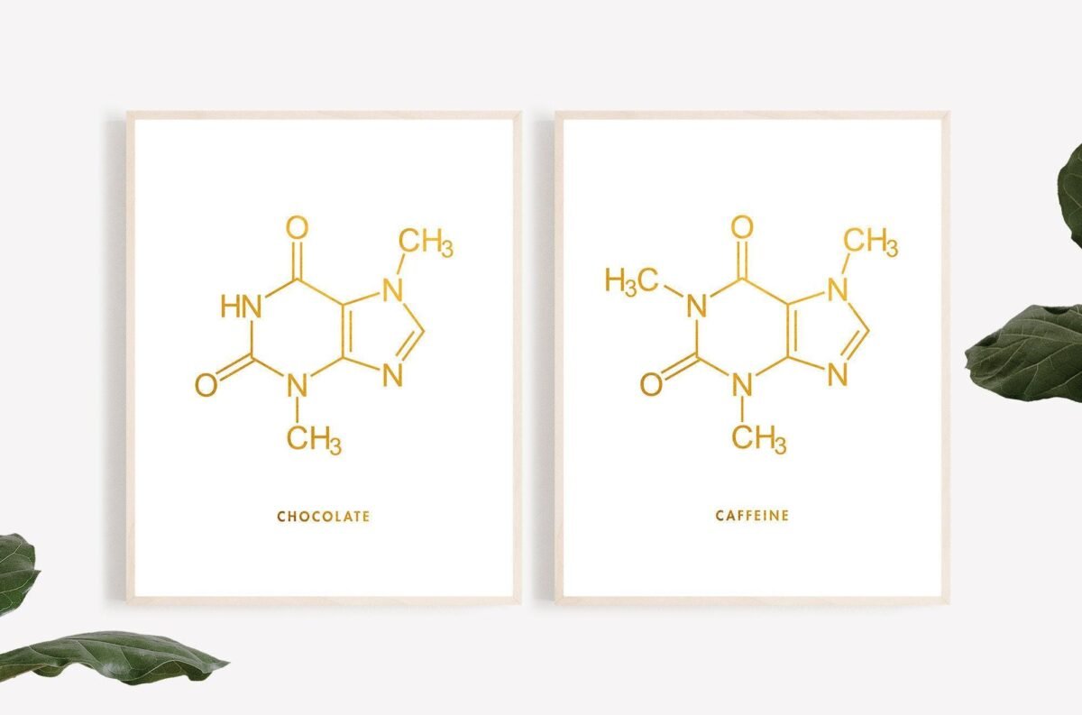 Chocolate & Caffeine Molecule Foil Print Set Of 2 - Coffee Science Lab Decor Chemistry Teacher