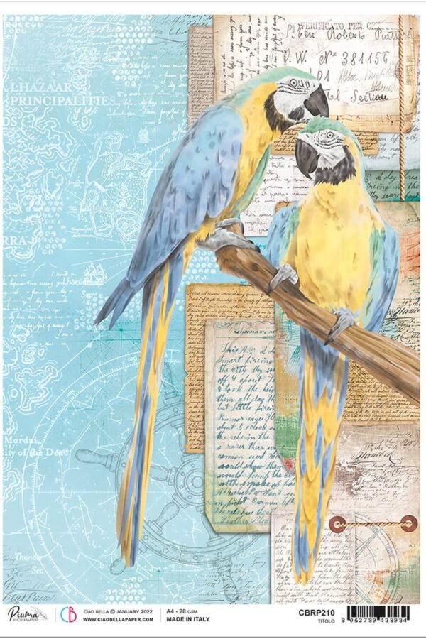 Ciao Bella | 1 Piece Captain's Quarters A4 Rice Paper Underwater Love Collection 8.25 X 11.5 in Made in Italy Cbrp210