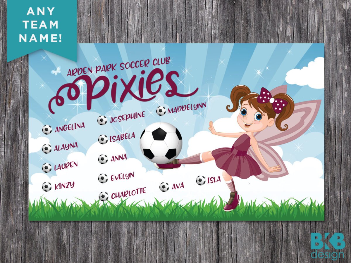 Custom Vinyl Soccer Team Banner Pixies, Fairies