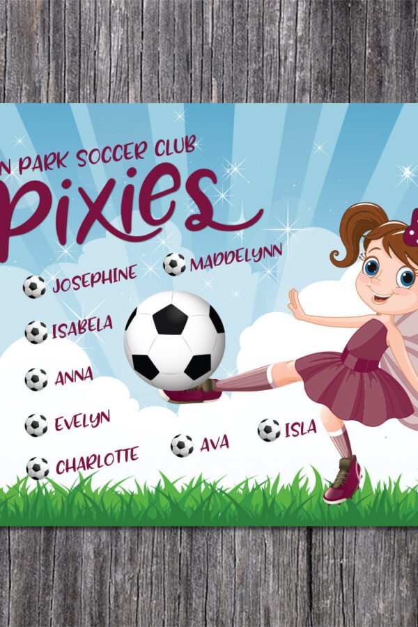 Custom Vinyl Soccer Team Banner Pixies, Fairies