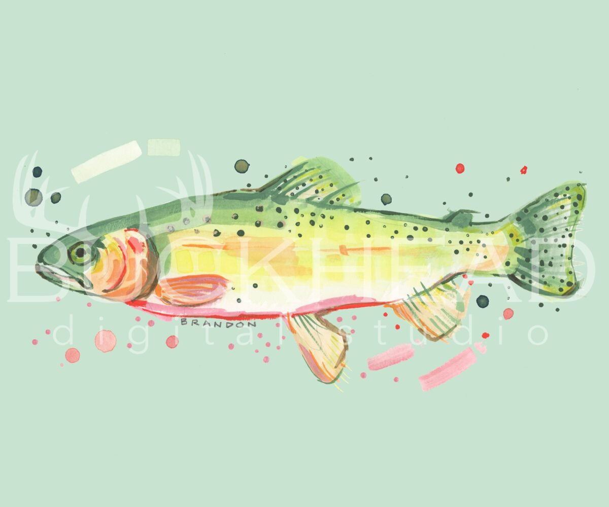 Cutthroat Trout Print | Green