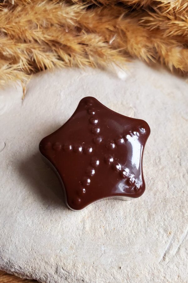 Dark Chocolate Star Magnet in Resin - A Trompe-L'oeil Treat, Ideal For Decorating The Fridge Or As Gift
