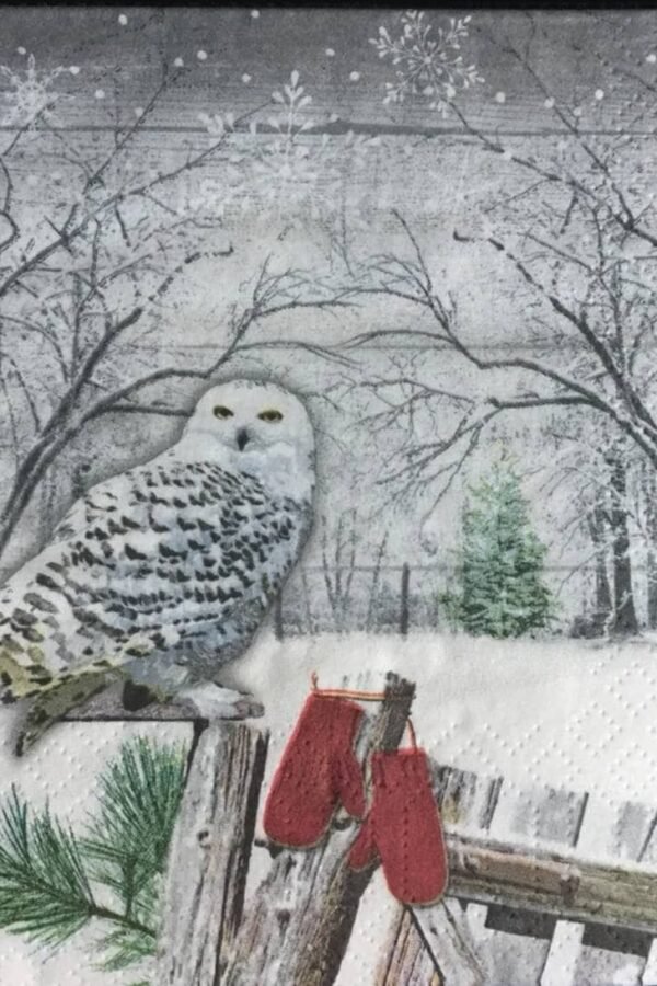 Decoupage Paper Napkins - Christmas Owl Snow Set Of 3 Cocktail Size