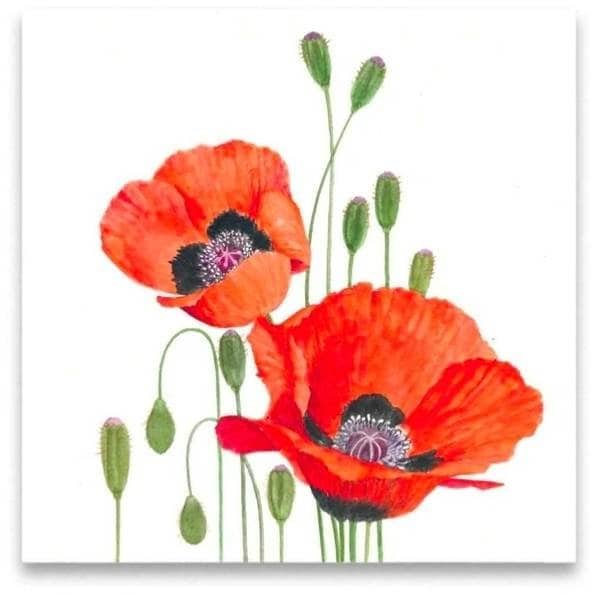 Decoupage Paper Napkins - Poppy Set Of 3 Cocktail Size