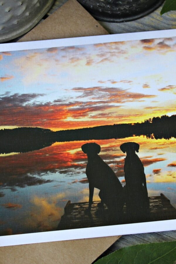 Dog Greeting Card, Photography, Weimaraner Heaven, Sympathy Card