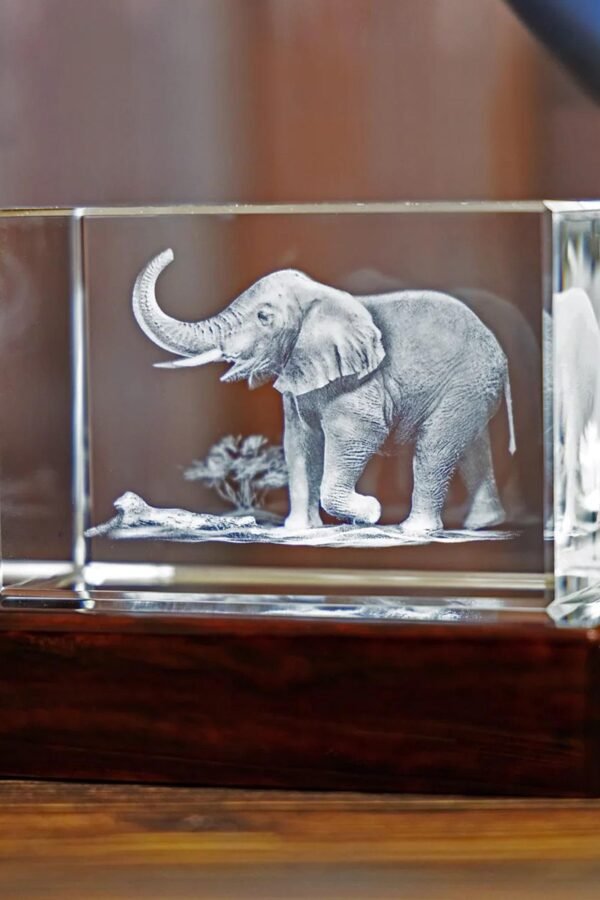 Elephant 3D Photo Glass, Laser Etched Print, Animal Lovers, Gift From Daughter, Wildlife Art, Tabletop Decor | Crystal Rectangle
