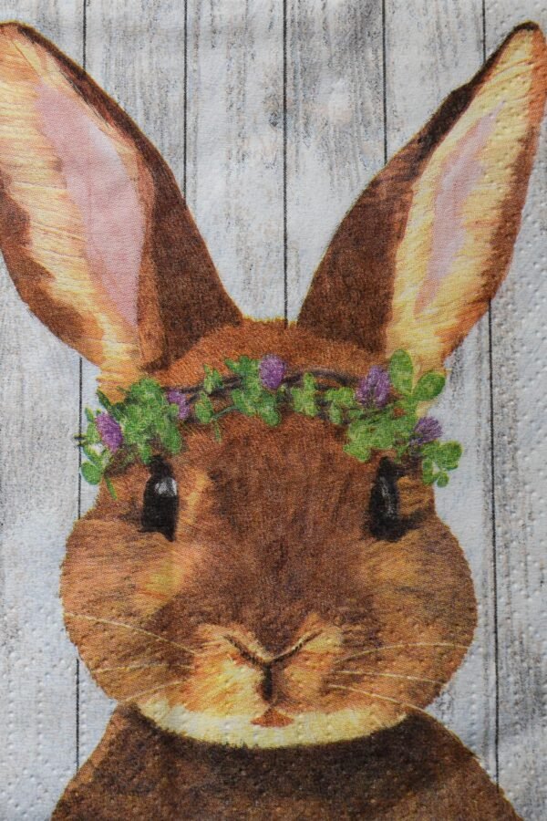 Farm Rabbit Decoupage Napkins Whimsical Bunny Paper | Set Of 3
