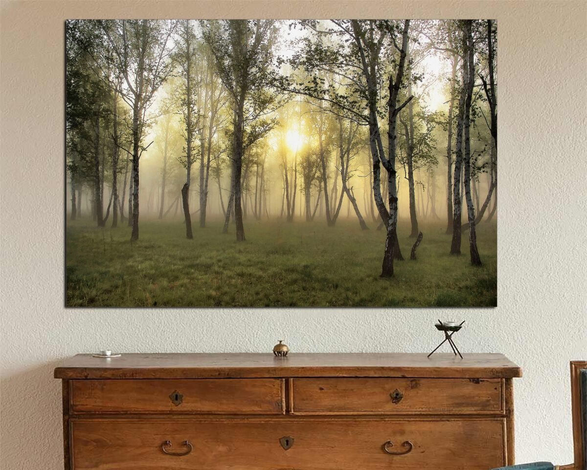 Forest Of White Birch in Fog Printed On Canvas, Wall Decor, White Art Beautiful Canvas Poster Ready To Hang