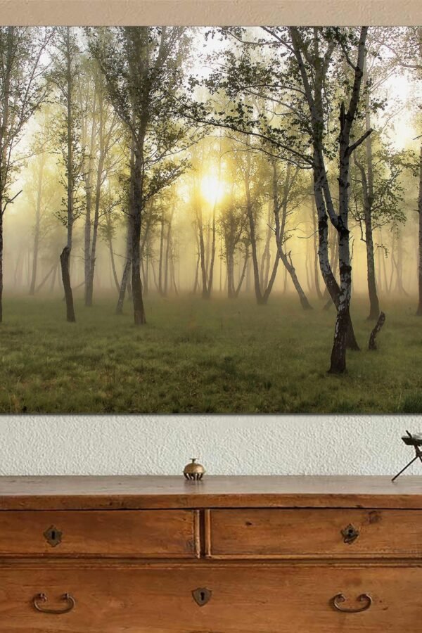 Forest Of White Birch in Fog Printed On Canvas, Wall Decor, White Art Beautiful Canvas Poster Ready To Hang