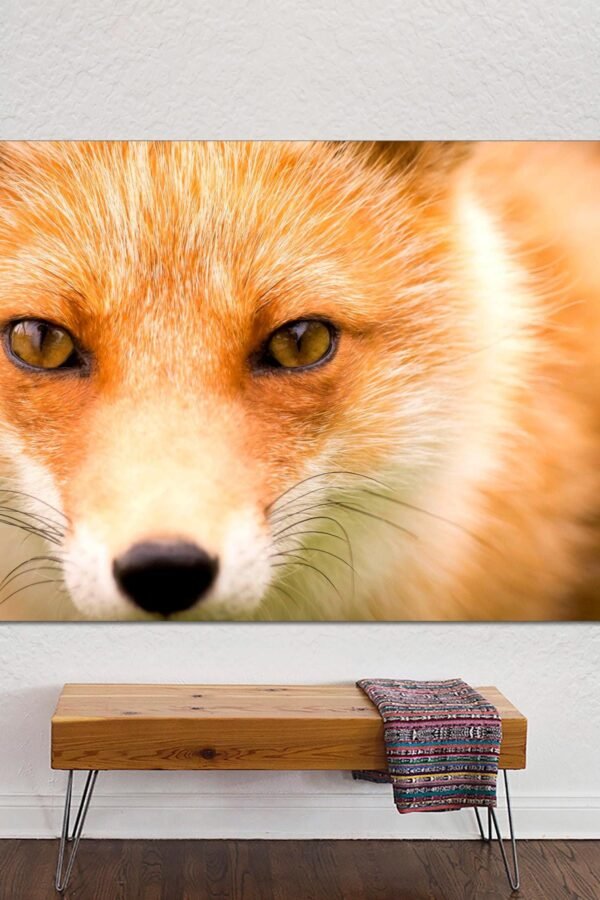 Fox Canvas, Wall Art, Canvas Print, Large Size Animal Art, Nursery Decor, Poster Art Canvas Ready To Hang