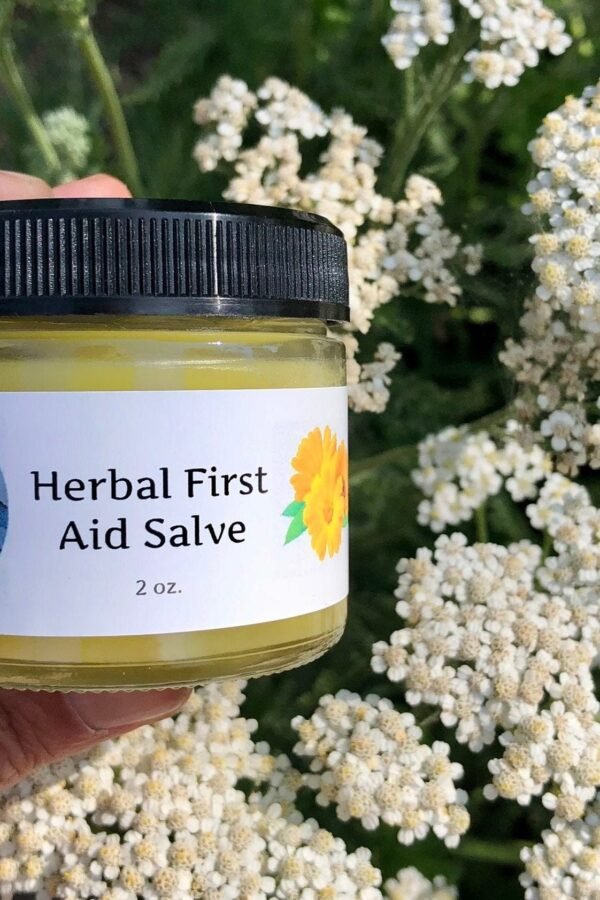 Herbal First Aid Salve - 2 Oz. Jar