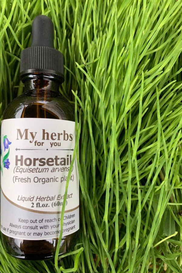 Horsetail | Fresh Organic Plant Tincture