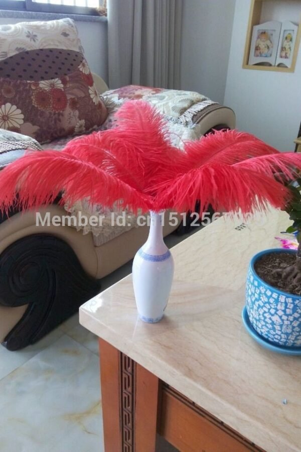 Hot Sale 50-200 Pcs/Lot Red Ostrich Feathers 10-12 Inches 25-30cm Diy Wedding Decorations Interior