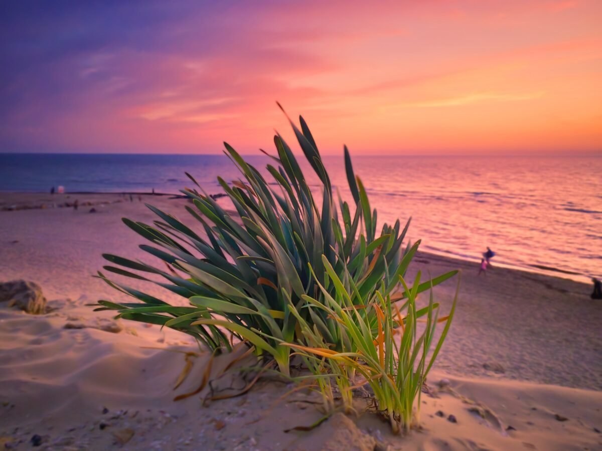 Israel Pink Sunset in Caesarea | Israel Nature Sky Landscape | Art Print, Photography Canvas/Metal Print